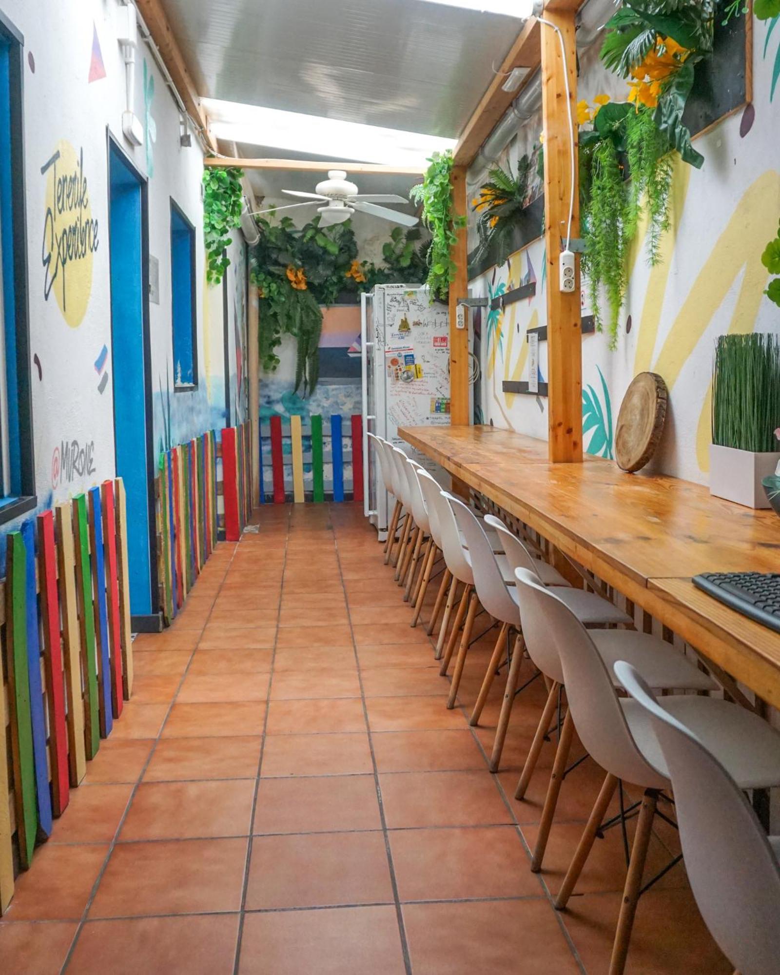 Tenerife Experience Hostel Santa Cruz de Tenerife Exterior photo